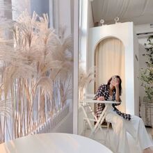 ��Ȼ�JȔ�ɻ���������ɻ�����@�b�ins���յ��ߵ��������|