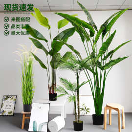 仿真绿植高级感仿真旅人蕉散尾葵龟背叶盆栽大型北欧高端植物造景