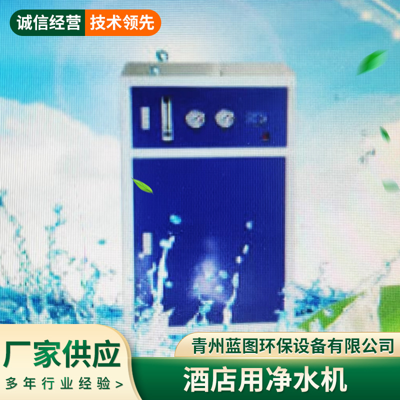 Reverse Osmosis Equipment Water Purifier Ro Filter Large Direct Drinking Ro Reverse Heating Purifier Reverse Ro Membrane Pure Water Machine for Home Use