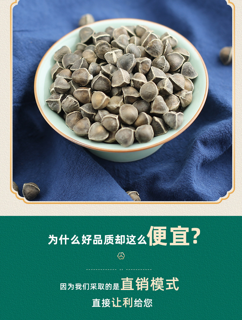 Moringa Seeds La Mu Zi Large Grade Natural Sun Dried 500g Bulk Herbal Seeds specifications