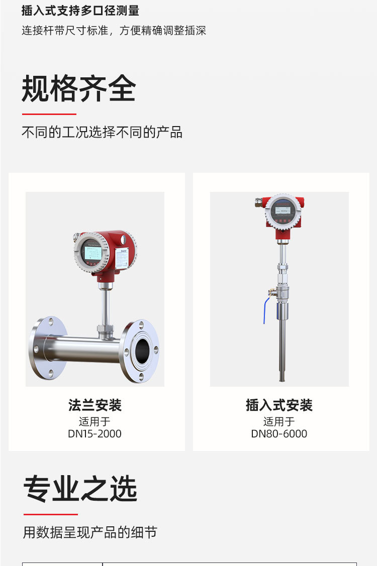 质量流量计_06.jpg