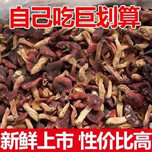 ؛Ұt؛_trҰtĢӼxҜҰt؛