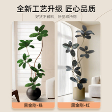 ?�پGֲ�bڽ����҃����Դ�����ؔ[���͏d�p�ݷ���Gɫֲ