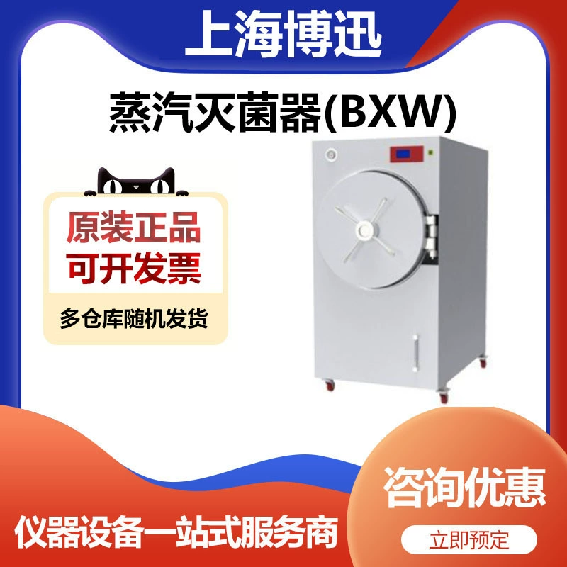 Shanghai Bo Xun BXW-280SD-G Паровой стерилизатор горизонтального давления (BXW)