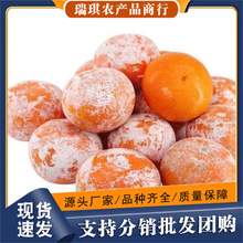 �V�����Qï�ȸ����r����ָ�10����ٽ���ʯ�Ҹ̱�֭ˮ���K�K����