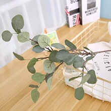 ���滨����ֲ���֧ë�{���X�~�Ҿ��k���b[���Gֲ�b��S���l
