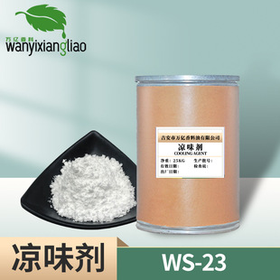 ����� ��ζ�� ws-23 ������ �������� ���������ӄ� �������