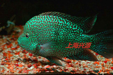 ���ݱ��~�G���˴����~�����~�Ꭷ�~�^�p�~�¿��_˹�~���~���B����