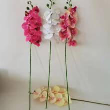 �ָ��zƬ7�^�����m �Ƶ��b��m���Wʽ�Ҿ��bٻ�