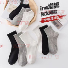 ���������п�̿��ļ����Ӵ����ﶬ͸���������˶�������