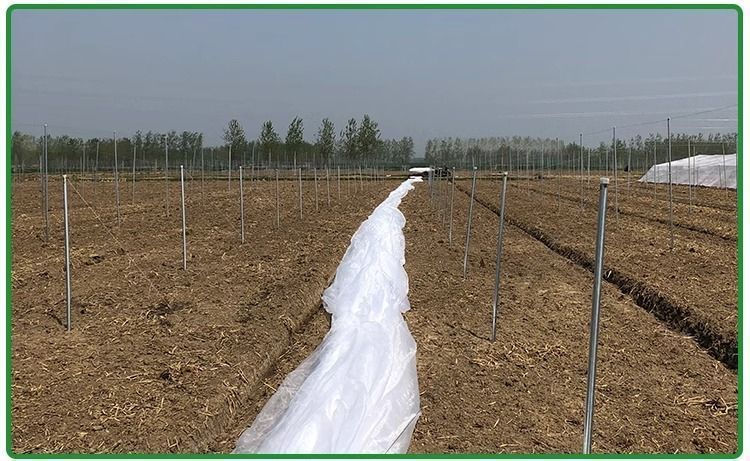 cd8d4adc-a32b-4f76-b89e-115deda29bbf.jpe