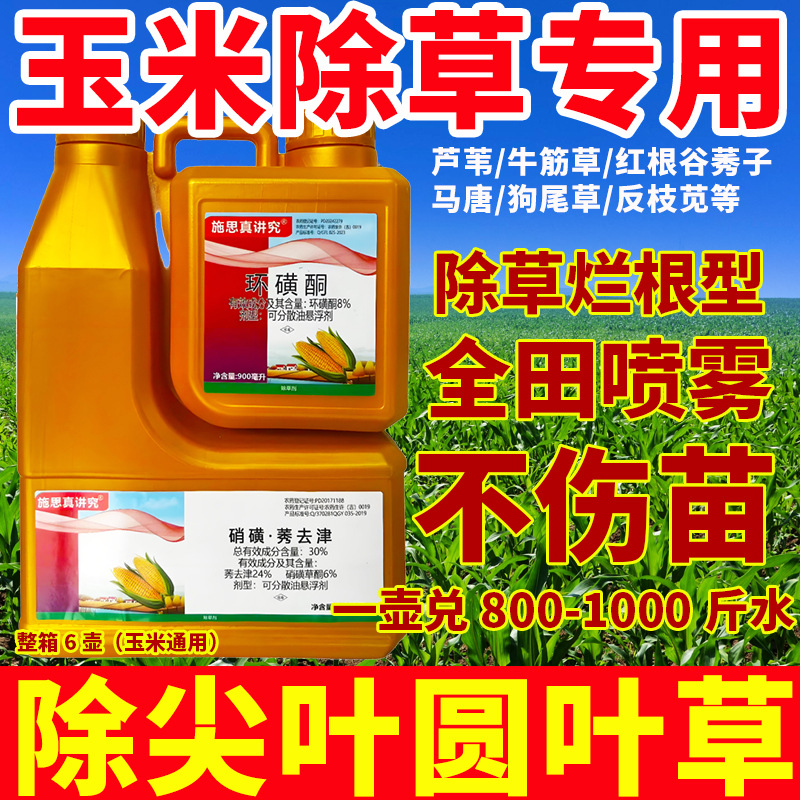 硝磺莠去津环磺酮玉米除草剂批发苗后除草烂根剂除牛筋草芦苇稗草