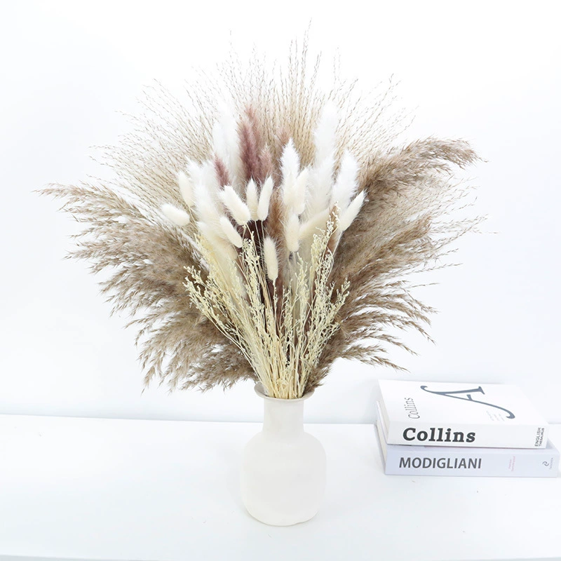 Organic set, wholesale, high-quality style