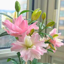 ���ͺ����ذ���ˮ�ٺϻ����Ի����ļ��ֲ̨���҃���Gֲ���B��