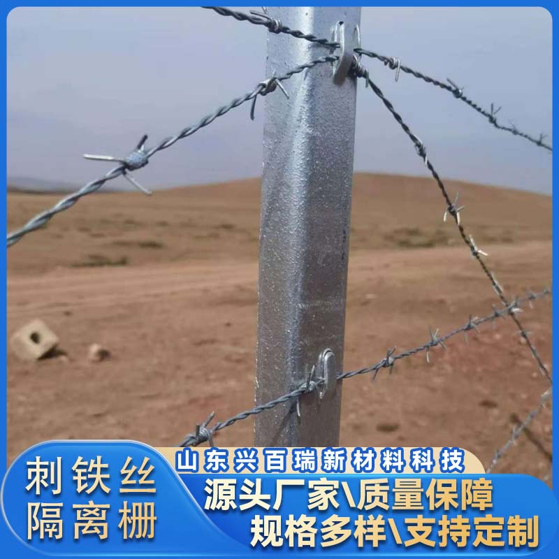 F-Bw-C热镀锌刺钢丝隔离栅 带刺铁丝槽钢立柱 包塑双股刺绳围栏网