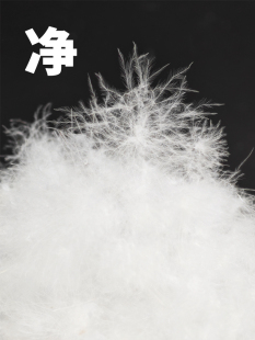 ?ɢ�b��q98�Z���q����90���q�Z�q�������q���Z�qԭ�Ͼ�ϴ���l