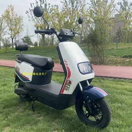 电动摩托车;电动自行车;电动代步车