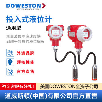 道威斯顿投入式液位计变送器全自动式4-20mA水箱液位传多量程