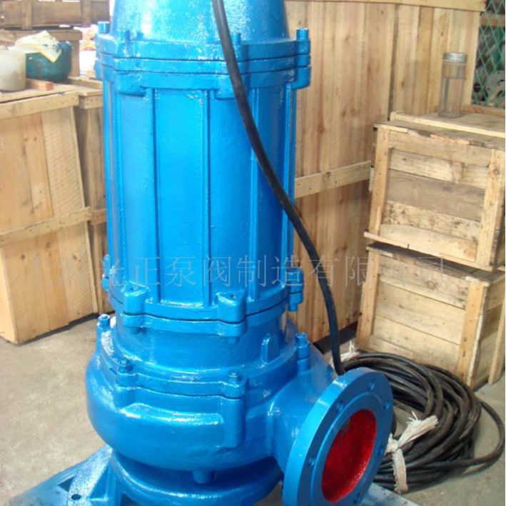 厂家供应光正牌QW电动铸铁潜水排污泵(上海光正水泵厂专业生产)