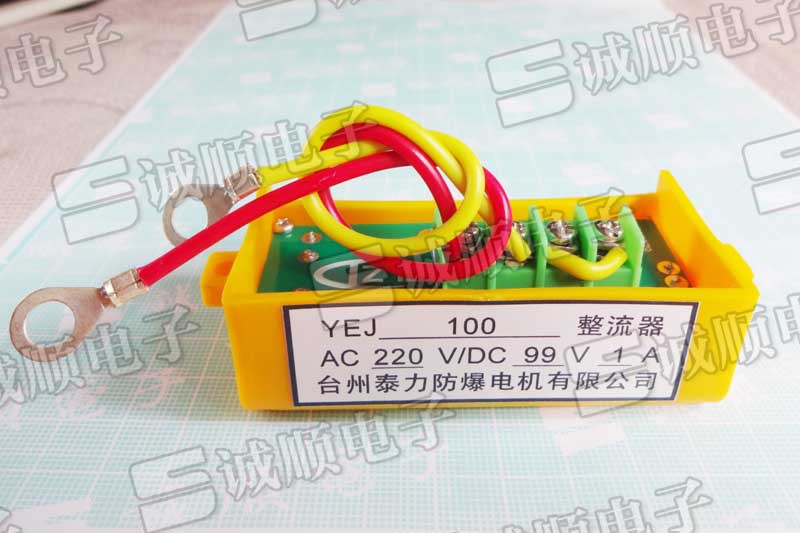 YEJ 100 AC 220V DC 99V 1A 整流器 台州 泰力 防爆 电机 TLZ