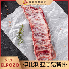 ������1672�S ELPOZO�����������i���� ���� ������ ���� ������