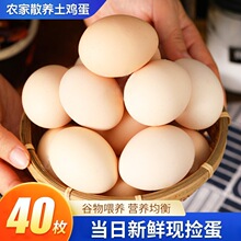 �����r��ɢ�B���u��40ö���r������u���F��F�l�������I�B���