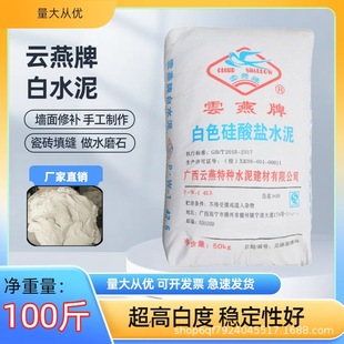 Factory Direct Sales White Silicate Cement Qiyings White Cement Wall Repair Waterproof Quick-Drying Household Bathroom Tiles