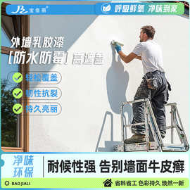 外墙乳胶漆翻新改色净味环保专用墙面防水跨境水性彩色外墙漆涂料