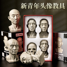 头头是道素描头像教具米隆石膏像美术生初学模型人体头骨艺术摆件