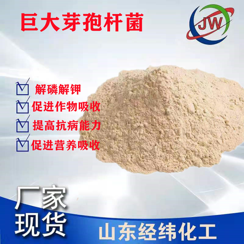 巨大芽孢杆菌 全水溶微生物菌解磷解钾水产养殖农用巨大芽孢杆菌