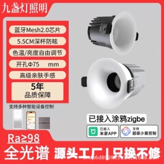 全光谱护眼深防眩射灯无边框筒灯客厅小山丘弧面射灯别墅级低蓝光