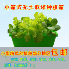 家庭种菜神器小型箱式水耕机无土栽培户外种菜盆水培塑料种植箱