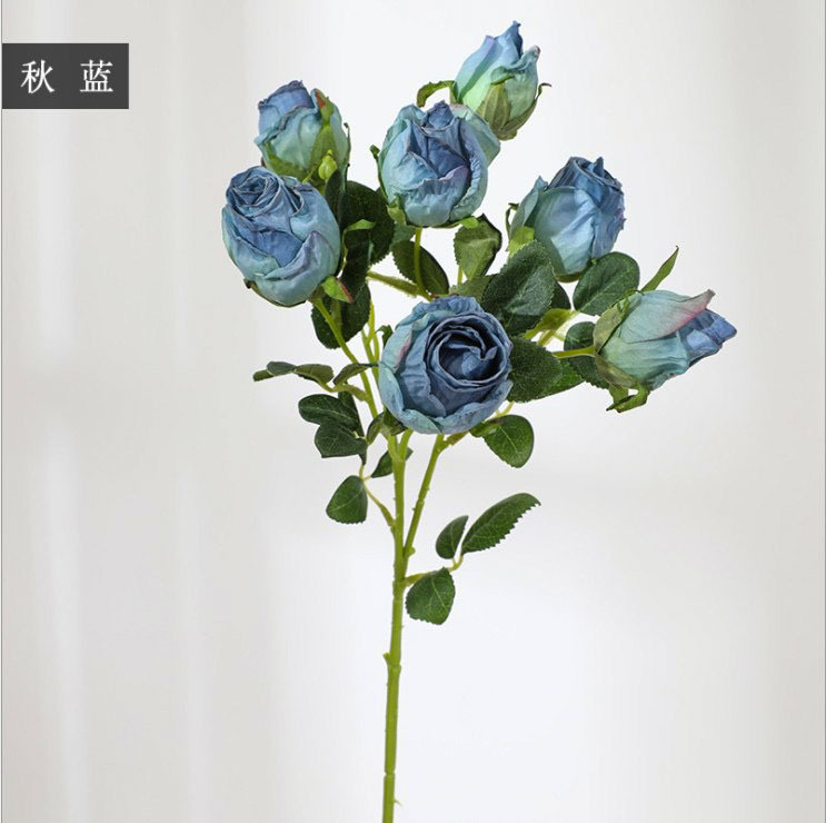 가을 블루