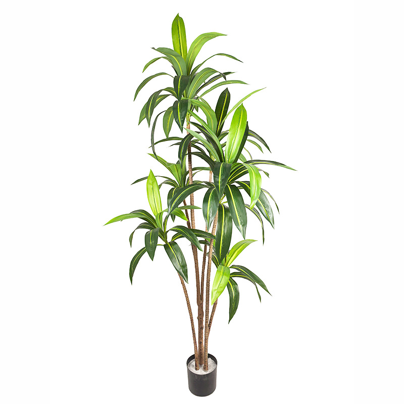 European-style light luxury articial brazilwood green plan