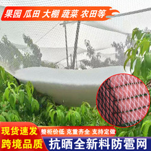 跨境供应山地果园防雹网 聚乙烯编织网鱼塘农场防鸟网防护网