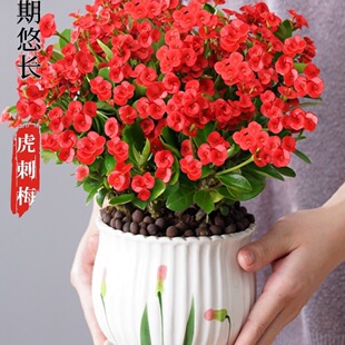 ����÷�F���Ļ������ļ��_�����~����ֲ���҃Ȼ��k�����̨���B