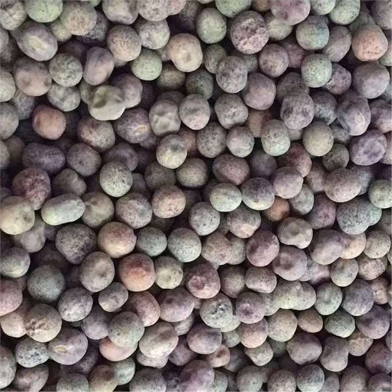 Сеянцы гороха, семена овощного гороха, заостренные побеги, не требуют морозостойкости, сеянцы гороха можно высаживать в любое время года.