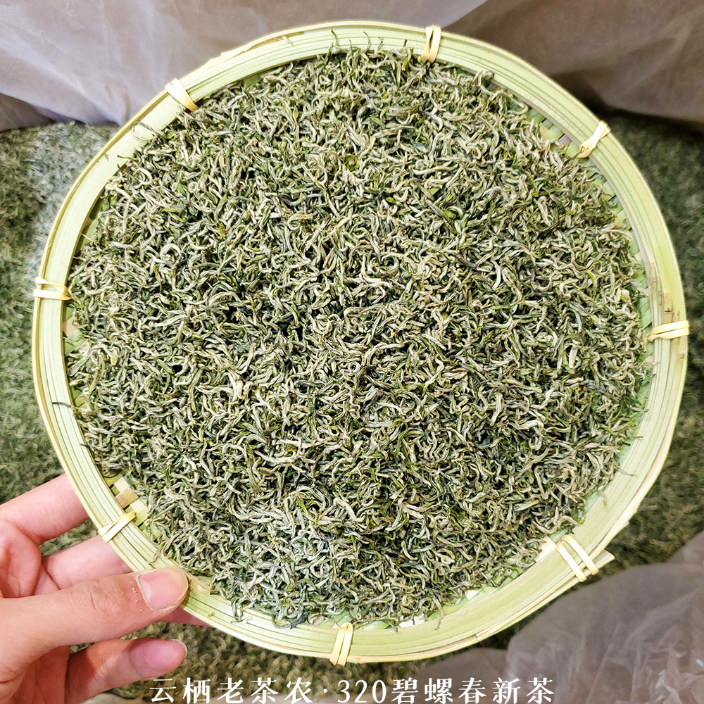 320碧螺春原图