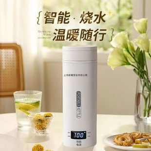 Portable Water Boiling Cup Travel Heating Water Kettle Electric Stew Household Hot Water Kettle Thermos Cup Electric Water Boiling Cup Small