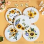英文手工原创跨境刺绣