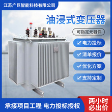S11油浸式变压器100KVA三相高压油浸式电力变压器厂家供应充电桩