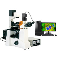  TXM-500 ßɹ@΢RBƿoմȾB^