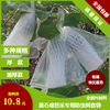 番石榴网袋专用袋防虫防鸟水果保护网袋包番石榴芭乐泡沫网套一体|ru