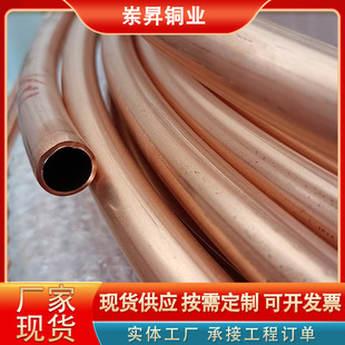 T2���~�P�����~ɢ��ܿ��{������C1100�������~�P��TP2ë���ϱP��