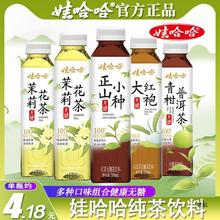 娃哈哈纯茶正山小种大红袍茉莉花茶饮料哇哈哈整箱15瓶