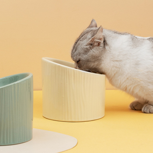 Ceramic Cat Bowl with Sloped Edge, Tall Legs for Dogs and Cats, Pet Food Bowl for Cats and Dogs, Anti-Spill Pet Supply