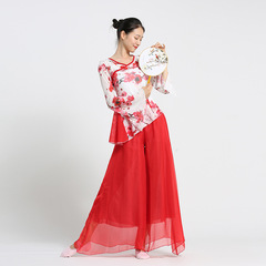 Honghua classical dance clothing body charm practice clothing gauze clothing art test trumpet sleeves plum blossom elegant ethnic dancer top