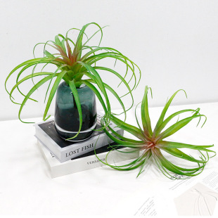 ����ֲ��՚��P��S��ֱ�N���lֲë�՚�ݴ�Ѷ�����滨�羳����