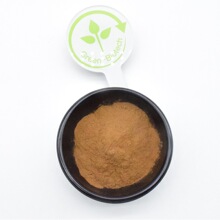 虎杖提取物10:1虎杖提取物厂家虎杖粉 大黄素 虎杖甙/苷 白藜芦醇