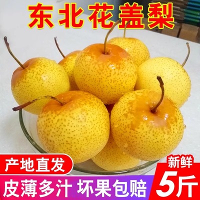 东北正宗花盖梨东北特产软梨秋子梨新鲜水果孕妇新鲜包邮5斤代发|ms